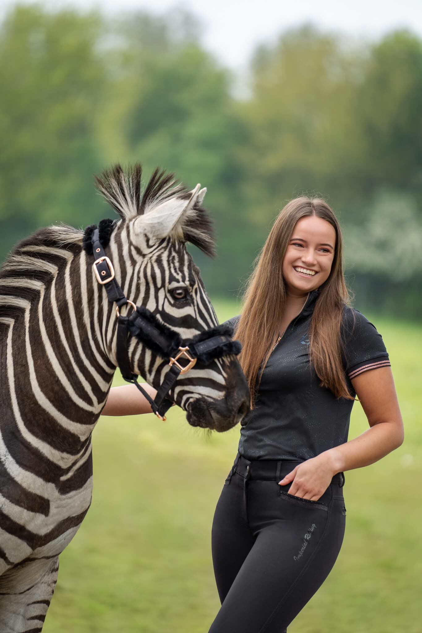 Paradepaard-ImperialRiding