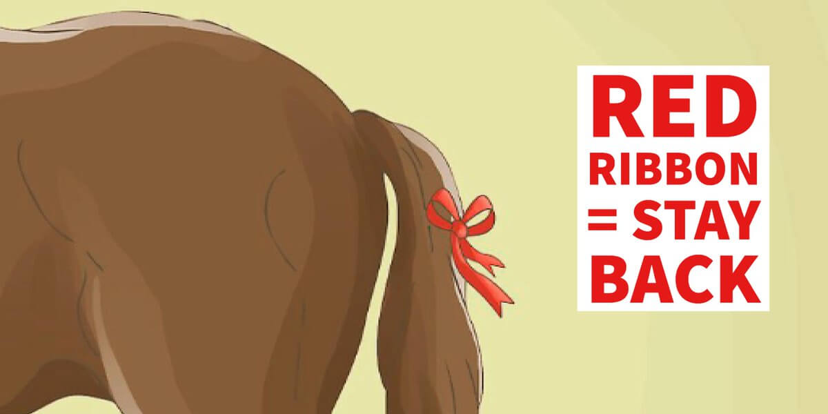 waarschuwingsstrik staart paard