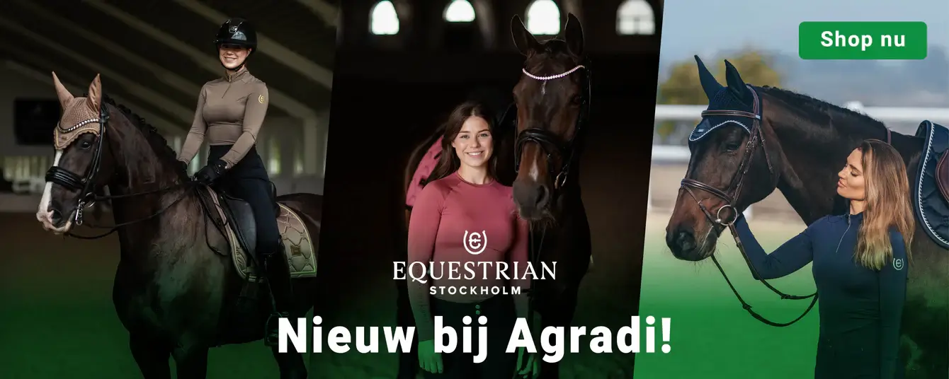 Paradeepaard-Agradi equestrian_stockholm