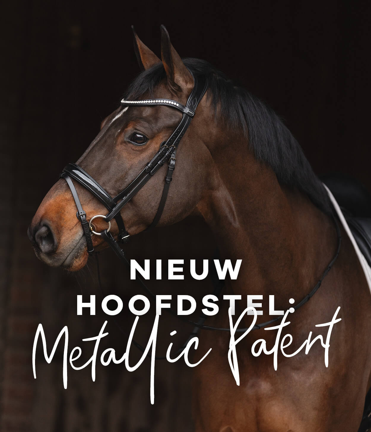 ANKY-Hoofdstel