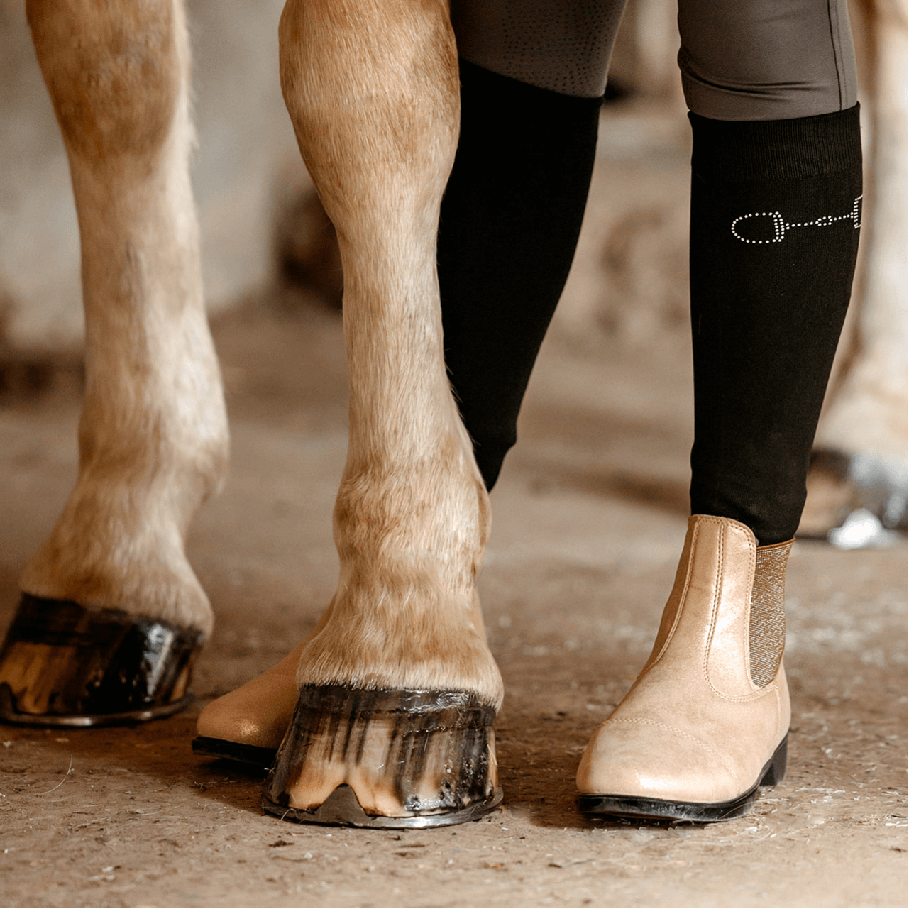 HarryHorse-Glitter jodhpurs