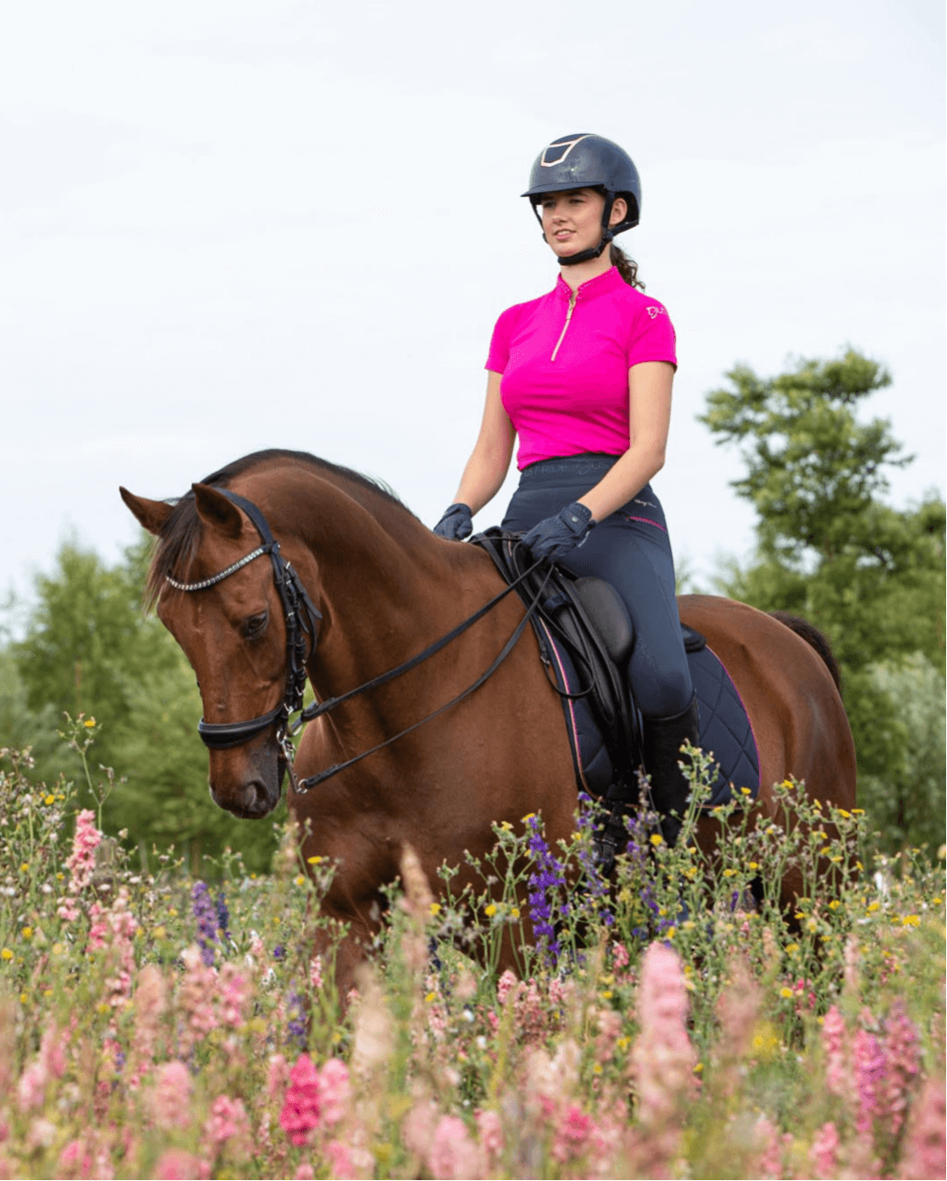 HarryHorse-Just Ride Nightsky Collectie