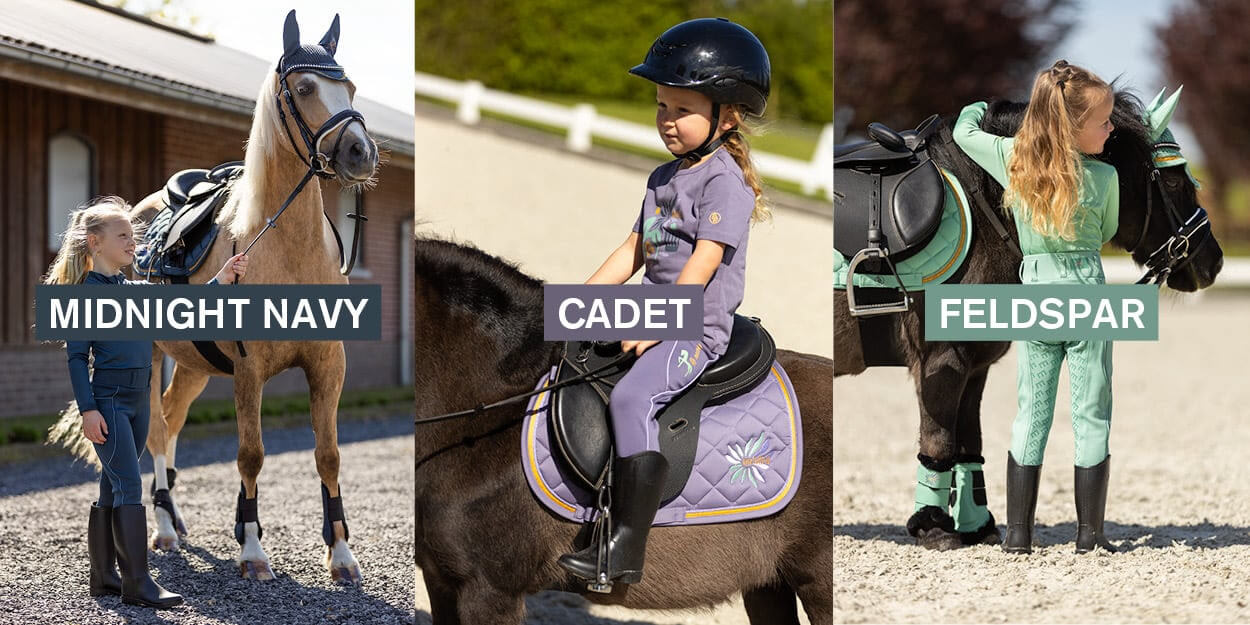 BR Ruitersport-Minihorse