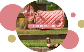 BR Ruitersport-Peach Blossom