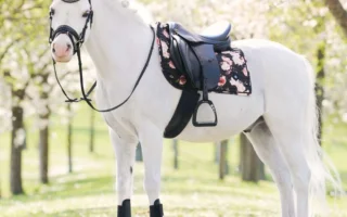 Paradepaard-Imperial Riding-flower