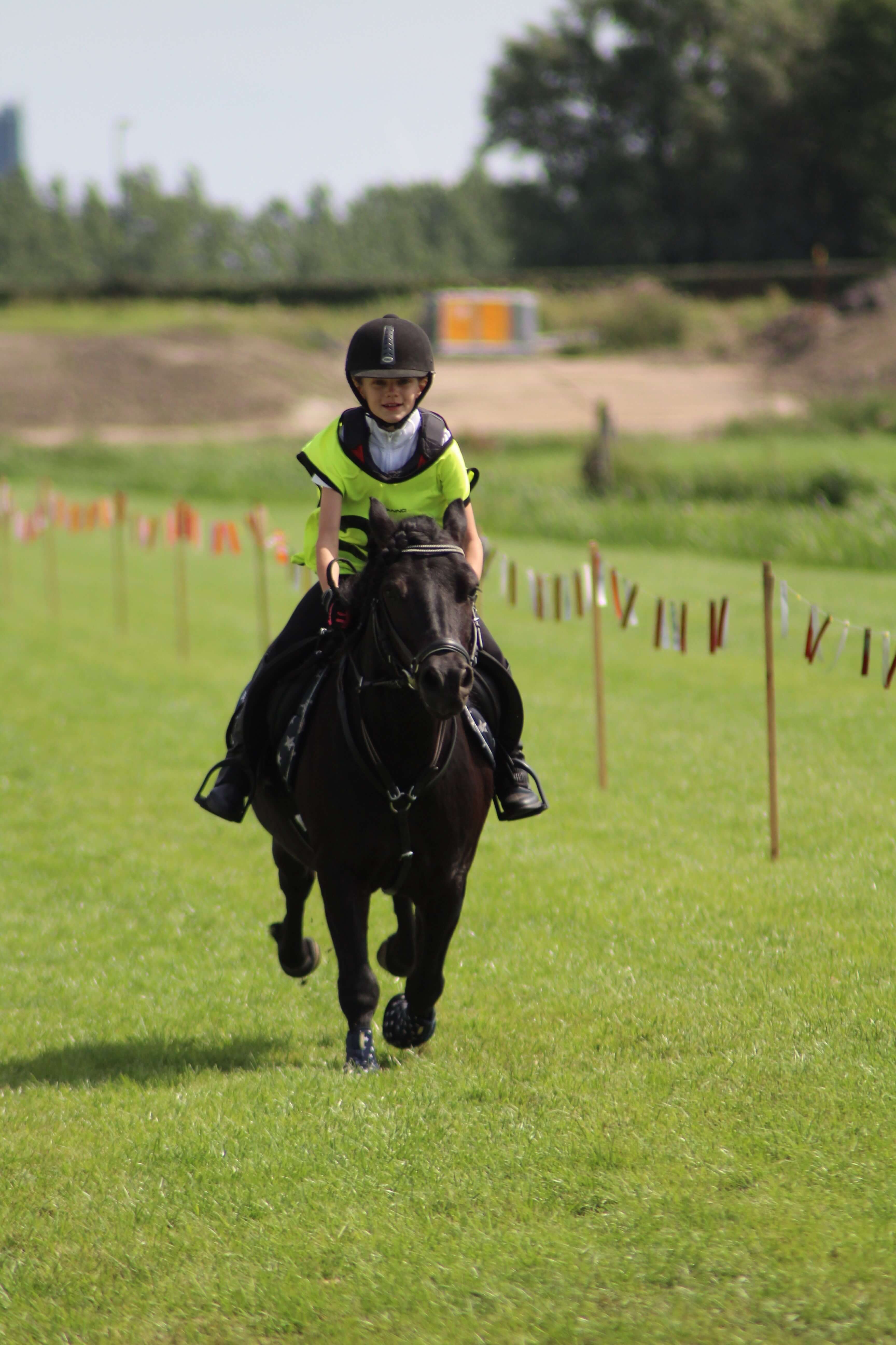 stompwijkse ponyrennen