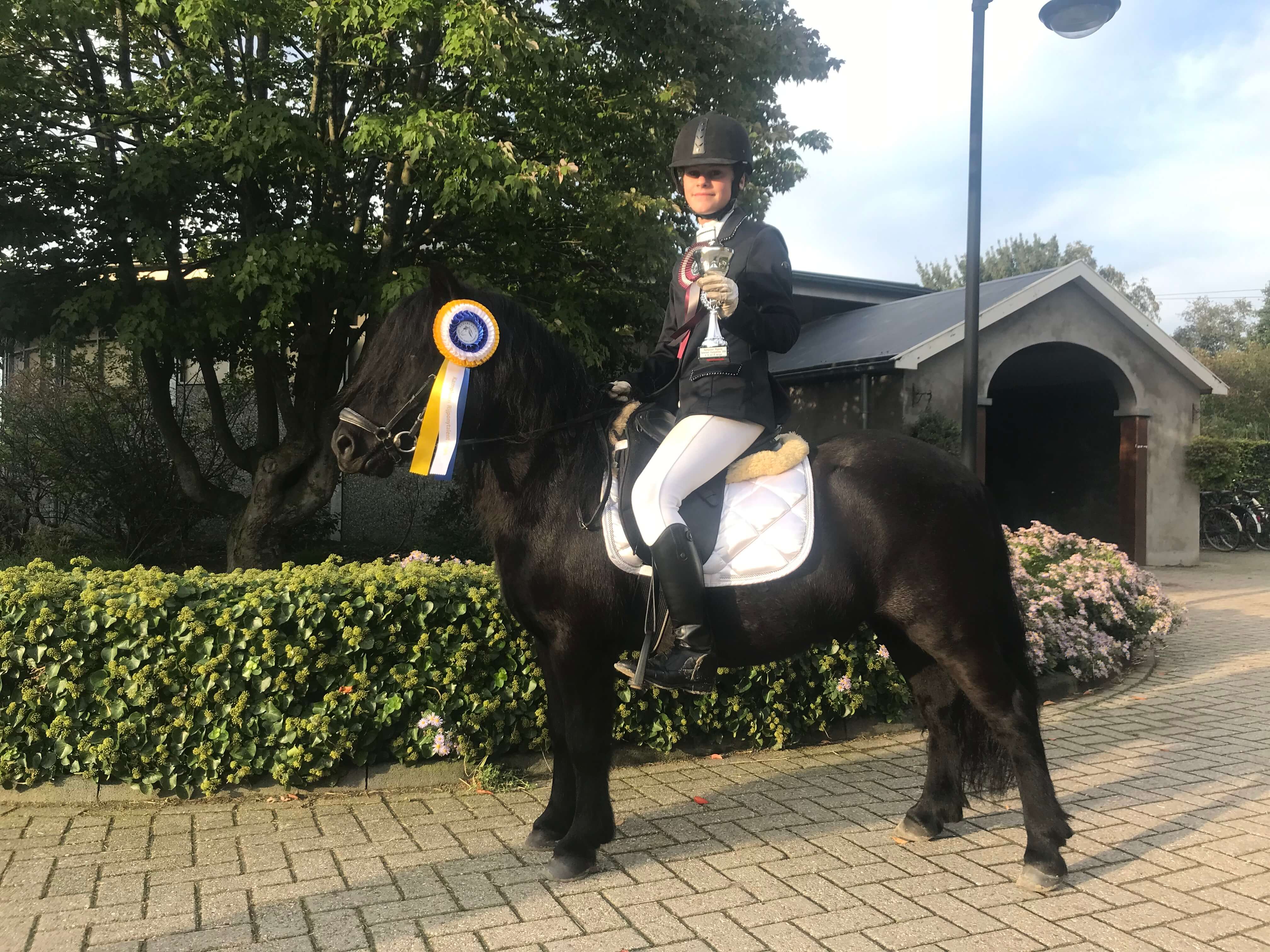 Rijpony Talent 2019