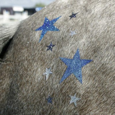 paard sterren blauw